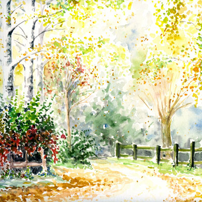 Contex 案例研究：Dynamic Reprographics 轻松应对各类扫描项目