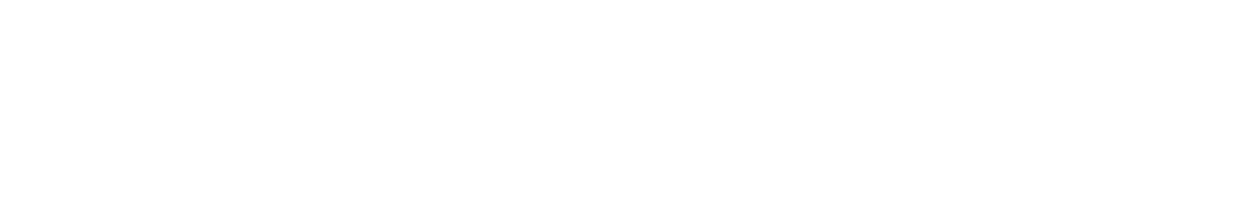 LOGO_WT_White