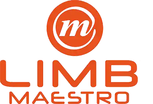 LIMB Maestro：赋能数字化工作流，实现高效档案管理与文档处理