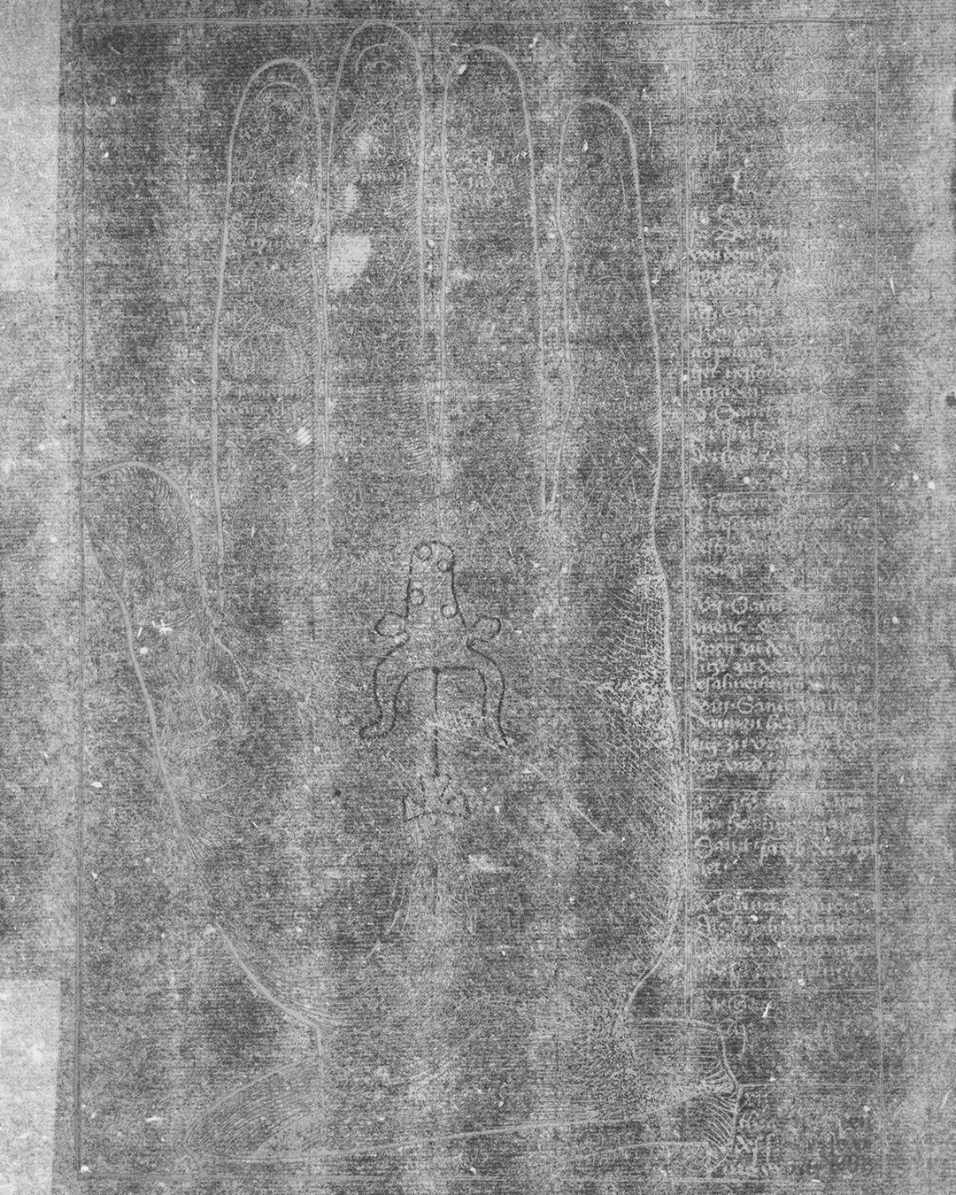 无损探秘：book2net x71多光谱成像系统在档案数字化与文物保护中的突破应用