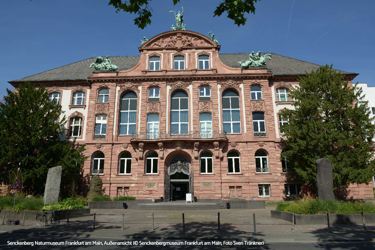 森肯贝格自然历史博物馆：book2net A1扫描仪赋能欧洲顶级自然历史收藏数字化转型