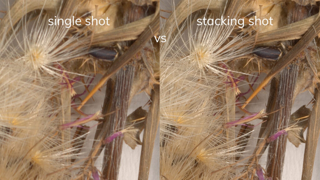 突破景深限制：扫描仪中的焦点堆叠（Focus Stacking）技术深度解析