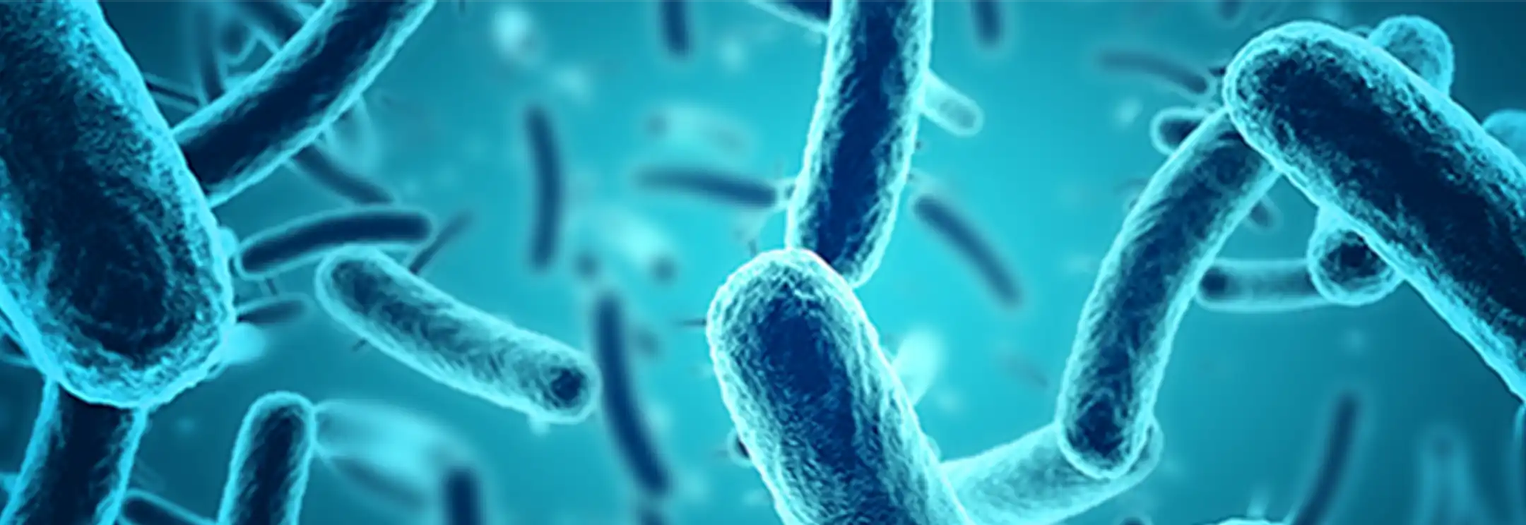 i2S生物发光微生物检测系统