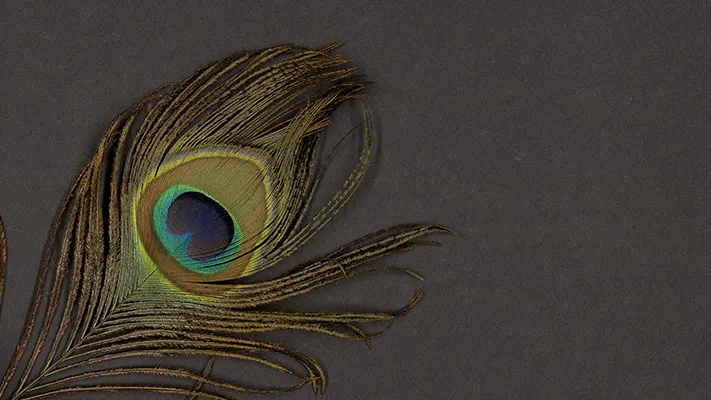 i2S 影像采集精度展示