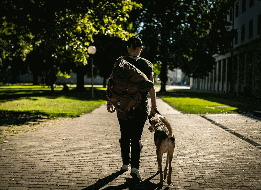 Schlupfwinkel 机构标识