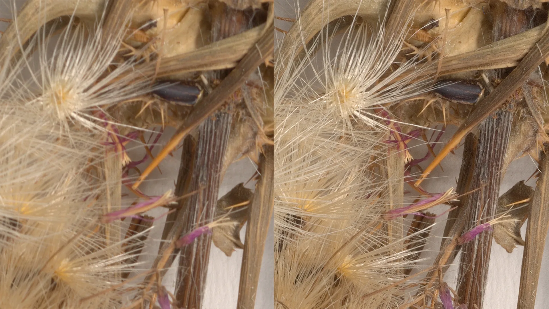 Book2net 扫描系统应用场景