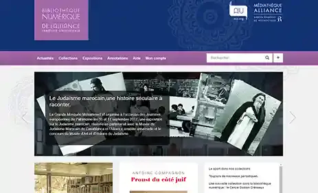 AIU 数字档案库展示