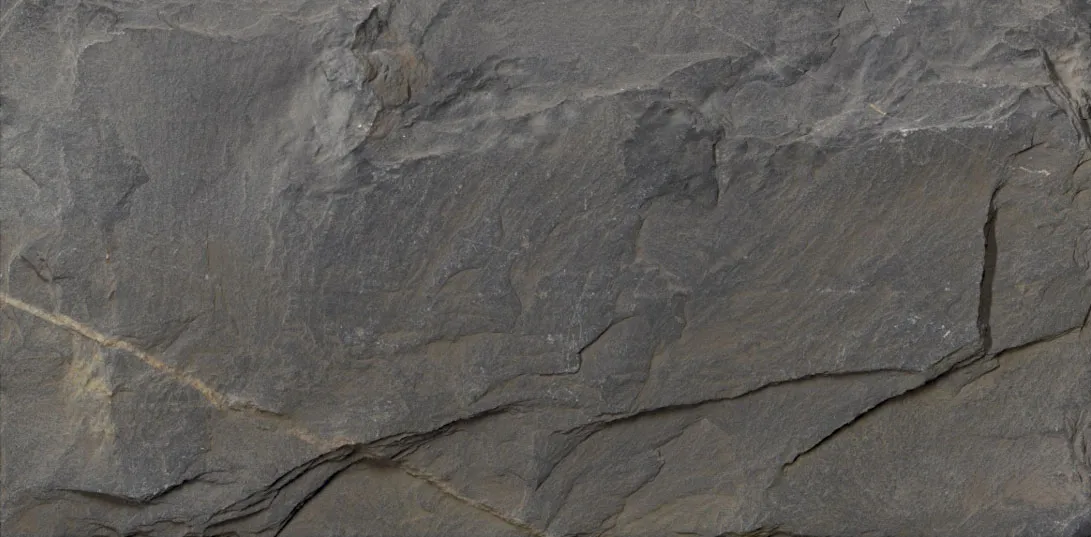 METIS 扫描系统外观