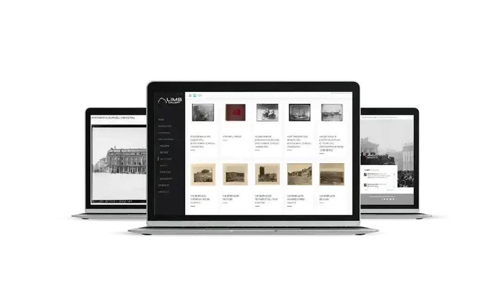 重塑数字遗产的生命力：LIMB Gallery 专业级馆藏发布平台深度评测