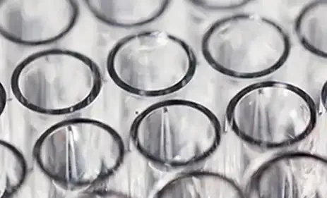 ADAGIO 抗生素耐药性测试仪