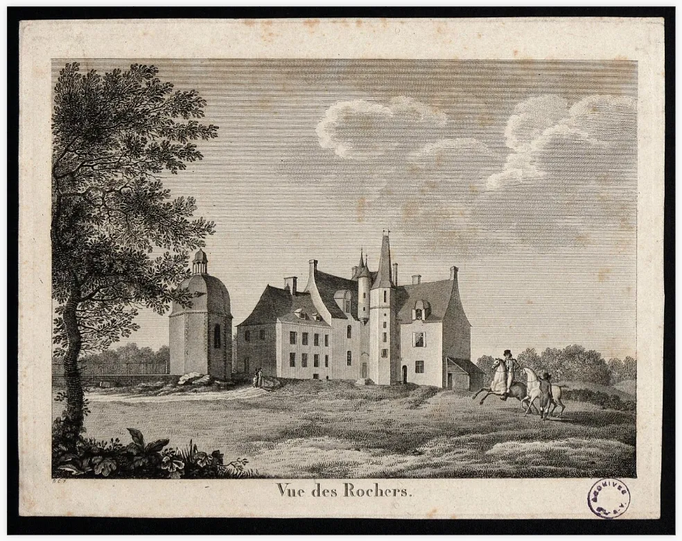 原始扫描图像展示