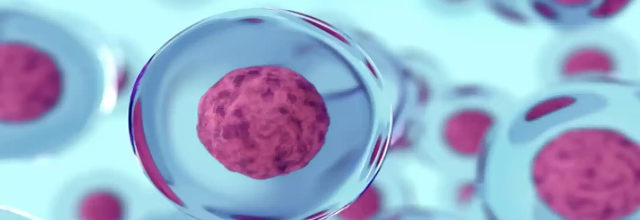 i2S 生物生产视觉系统横幅