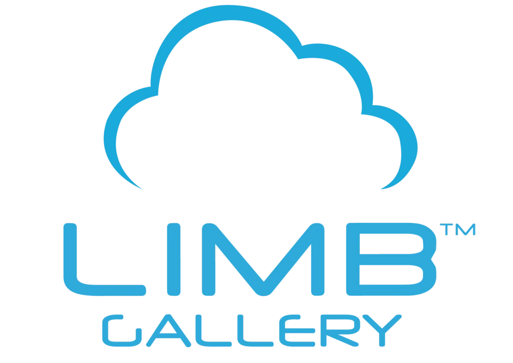 数字遗产的终极秀场：LIMB Gallery 深度评测，重塑馆藏资源的在线价值