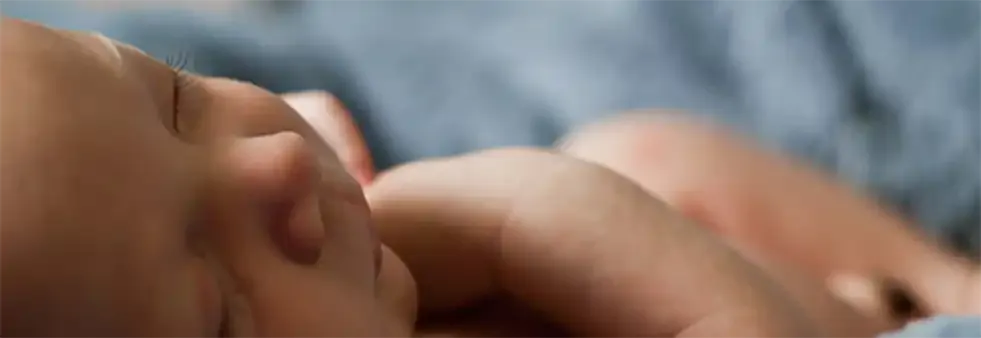 i2S ATLIS 胚胎延时监控系统全景