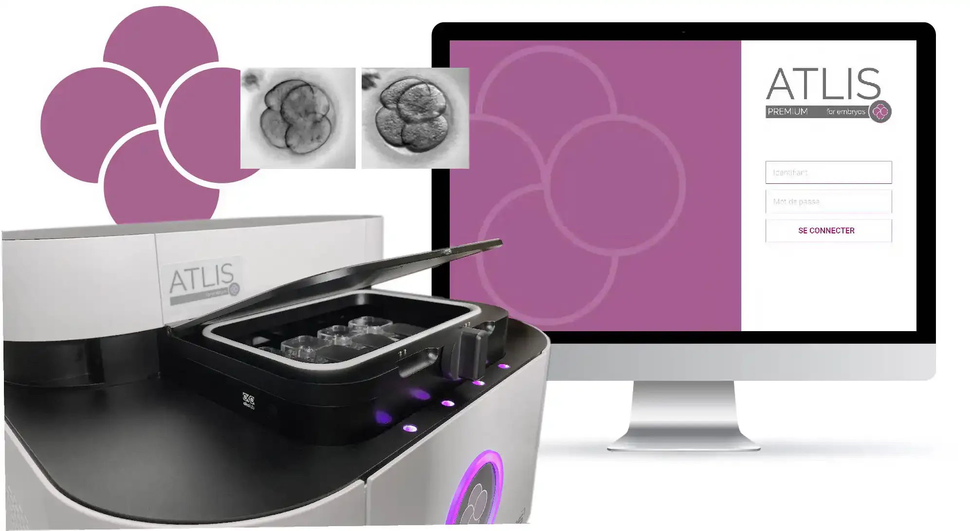 ATLIS 胚胎成像细节展示