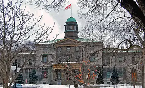 麦吉尔大学中世纪手稿扫描