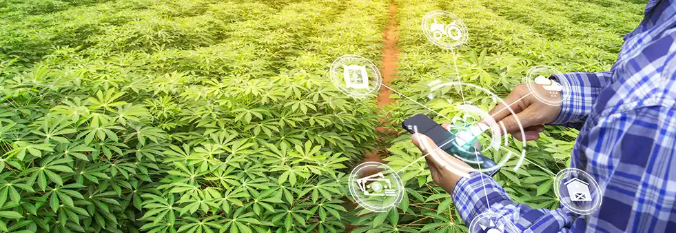 i2S 农业监控系统应用场景