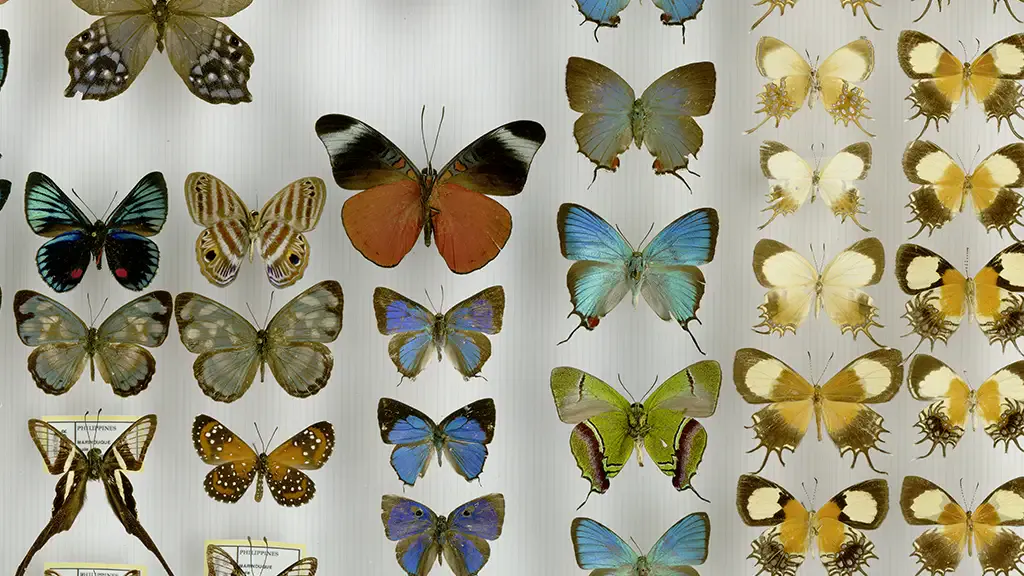 i2S 影像质量细节展示