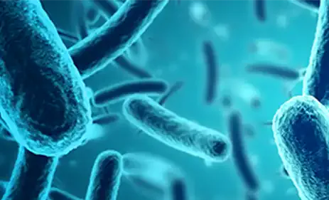 微生物自动化监测系统