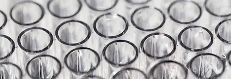 机器视觉重塑临床诊断：i2S ADAGIO 如何实现抗生素敏感性测试的自动化飞跃？