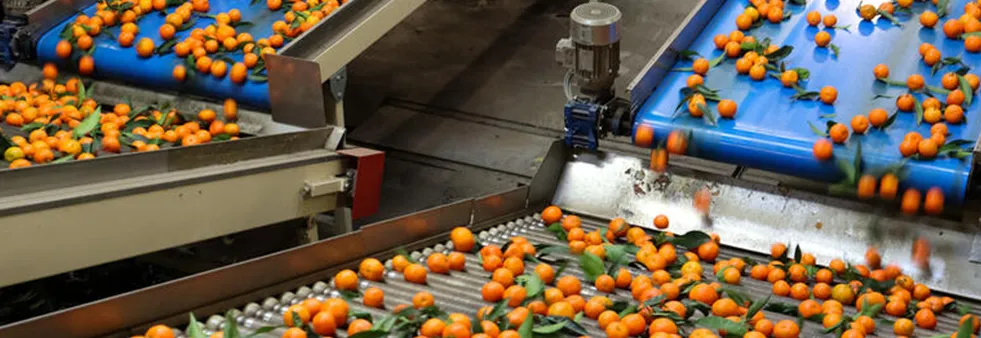 i2S AgriNov 校准分拣阵列