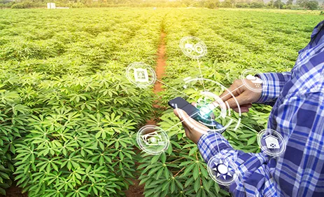 农机集成视觉系统